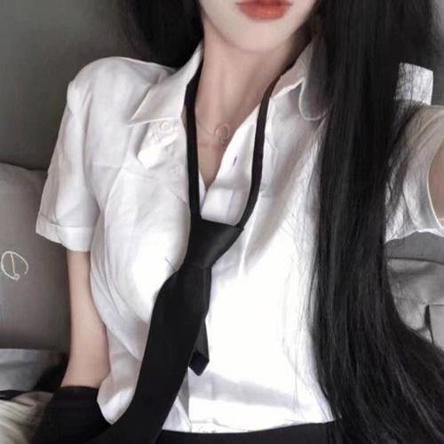 棉尾兔