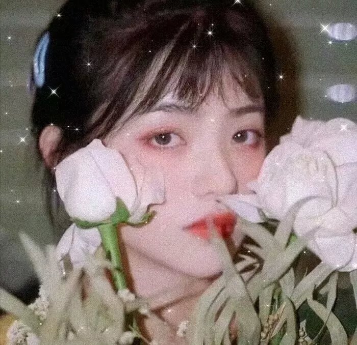 焚海的人